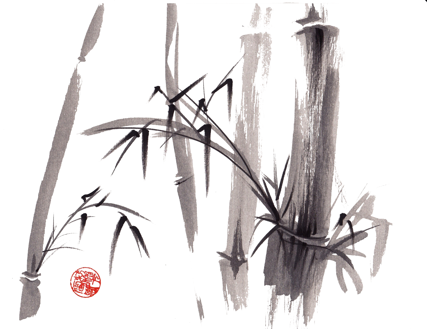 Bamboo