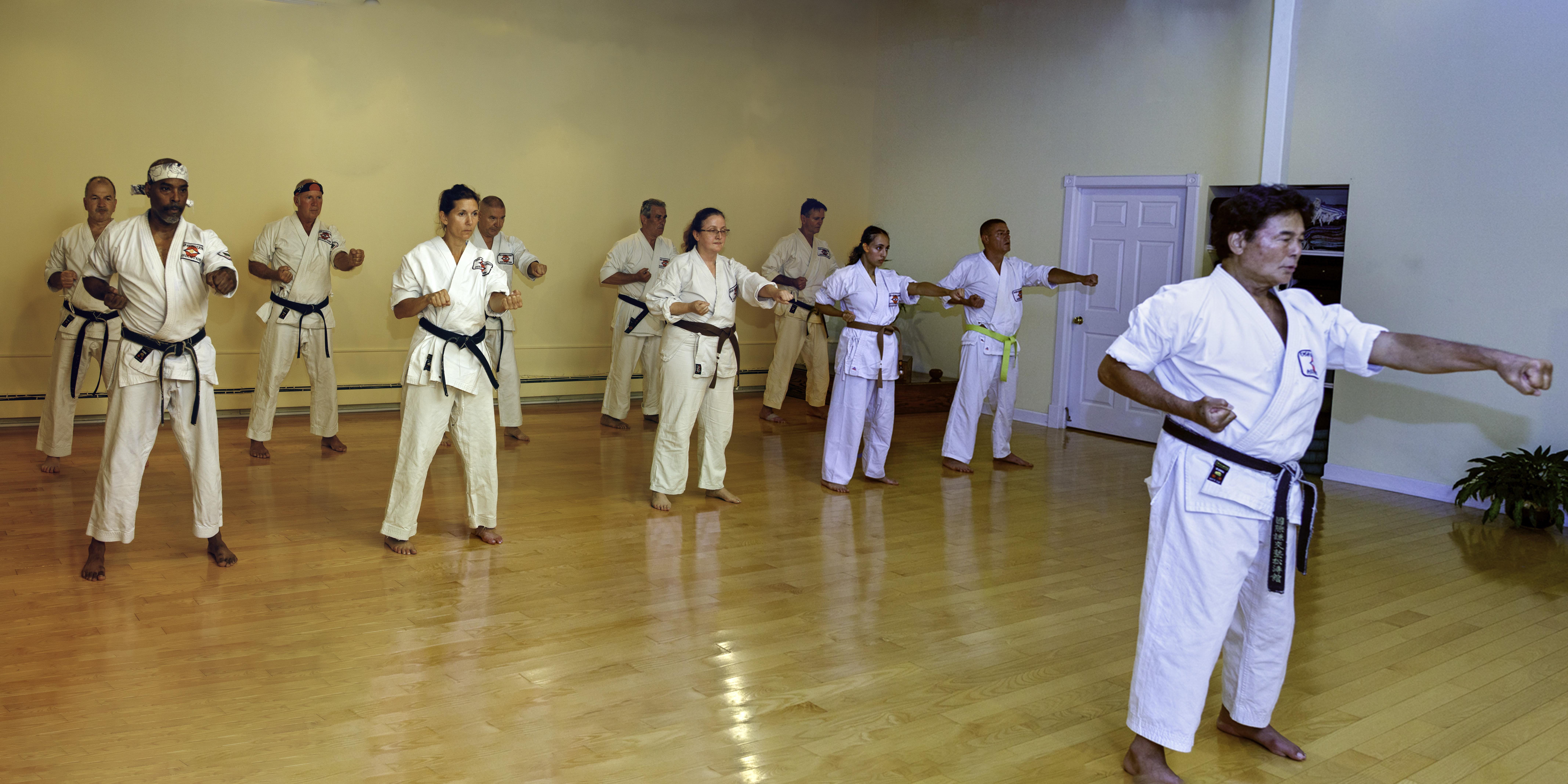 Sensei Teaching Class