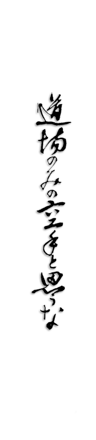 Precept 08